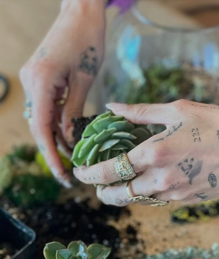 Jenny Nourse Art & Botanicals