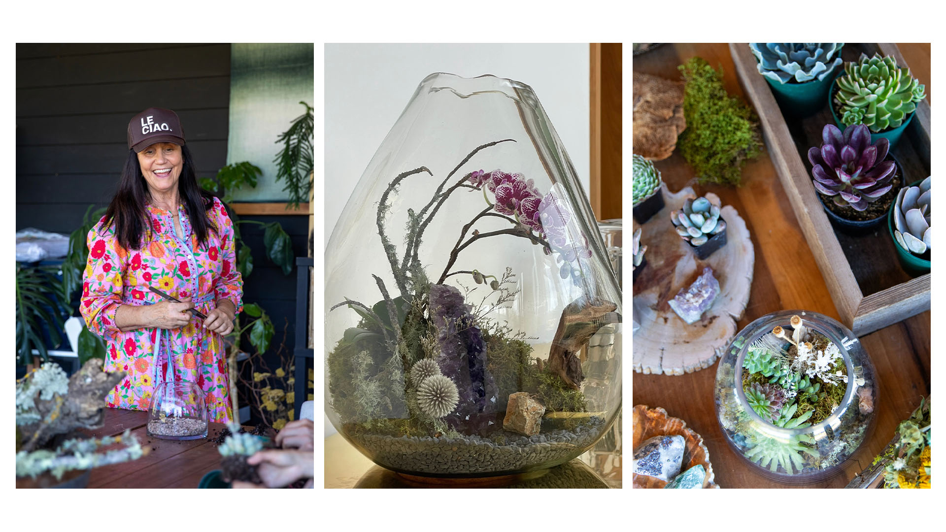 Jenny Nourse Art & Botanicals Jenny Nourse Art & Botanicals